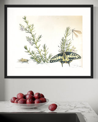 Rosemary's Song - Original Artwork