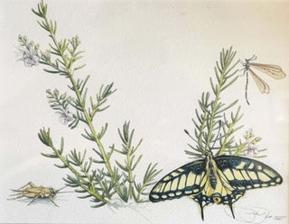 Rosemary Song - Prints by Paul Reeb Artist