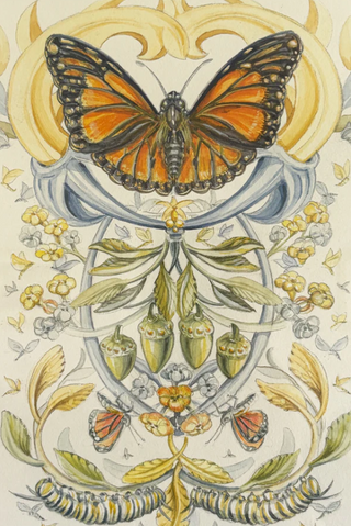 Finding Inspiration in the Everyday